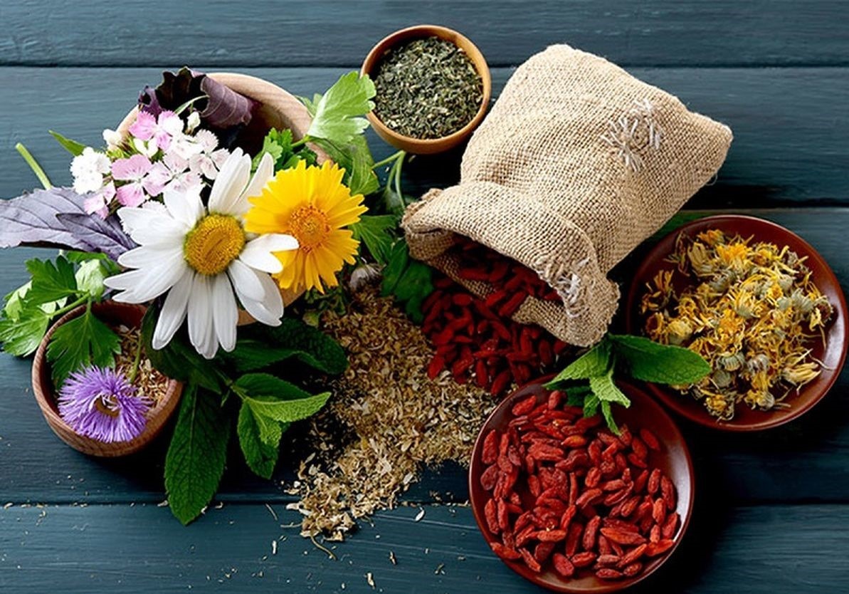 گیاهان دارویی