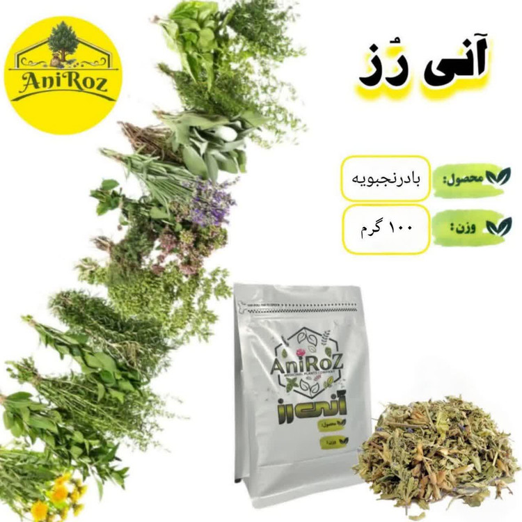 بادرنجبویه کیفیت ممتاز 100 گرمی آنی رز