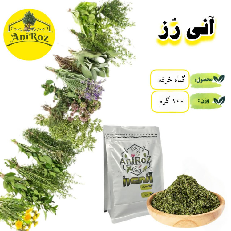 گیاه خرفه سبزی خوراکی اعلا 100 گرمی آنی رز