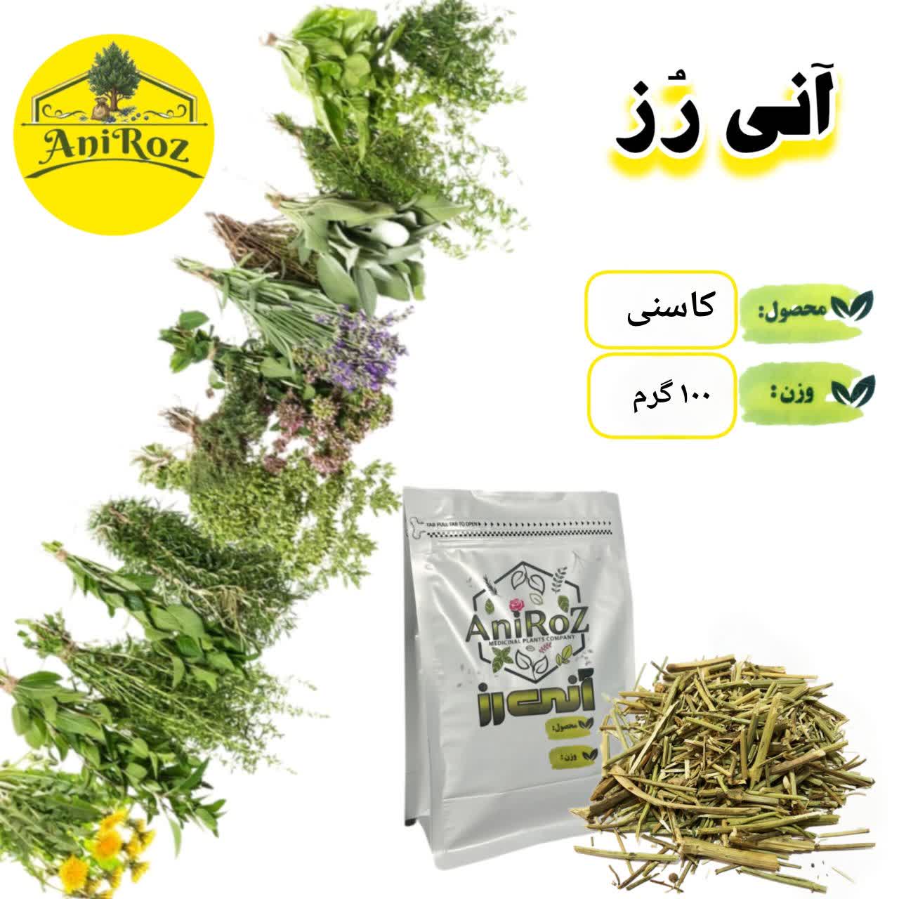 کاسنی  برگی شگفت انگیز 100 گرمی آنی رز
