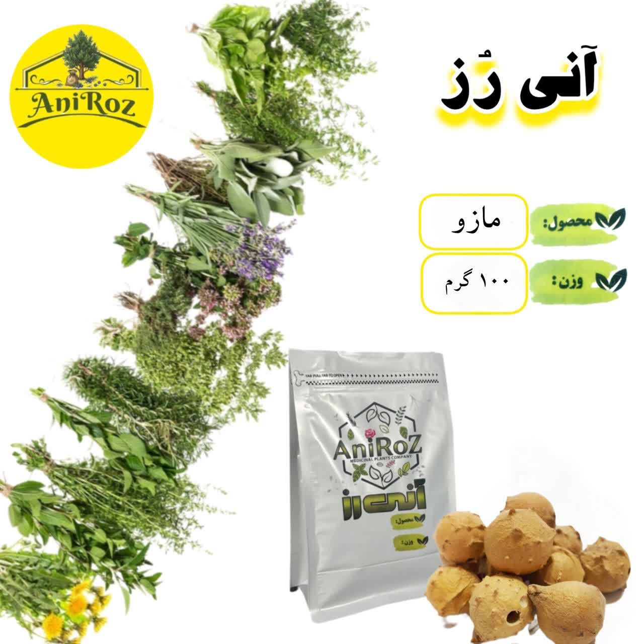 میوه مازو ضدعفونی کننده عالی 100 گرمی آنی رز