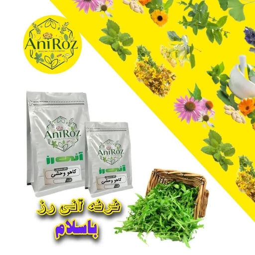 کاهو وحشی گیاه مرغوب یک کیلوگرمی آنی رز