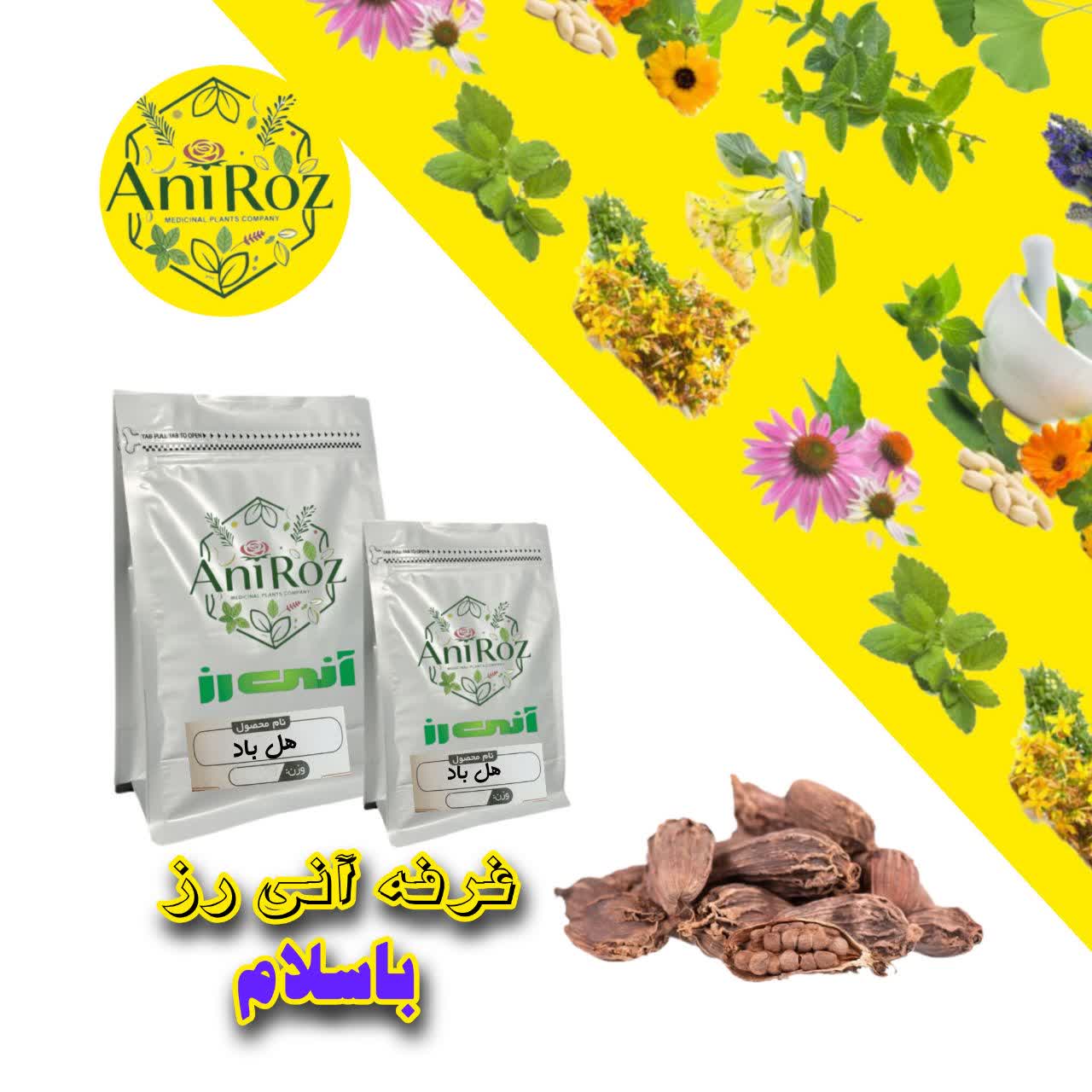 هل باد ادویه اعلا 100 گرمی آنی رز