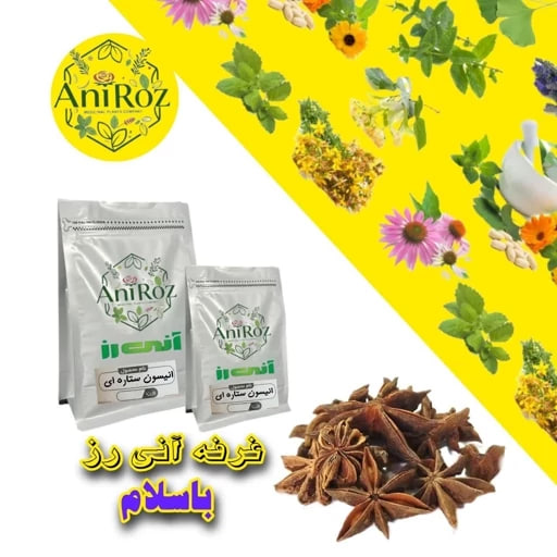 انیسون ستاره ای ادویه مرغوب 50 گرمی آنی رز