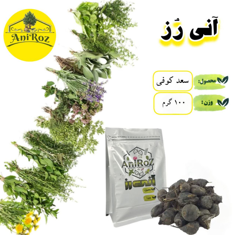 گیاه سعد کوفی مرغوب 500 گرمی آنی رز