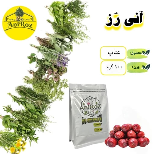 حبه ی عناب میوه ای مرغوب یک کیلوگرمی آنی رز