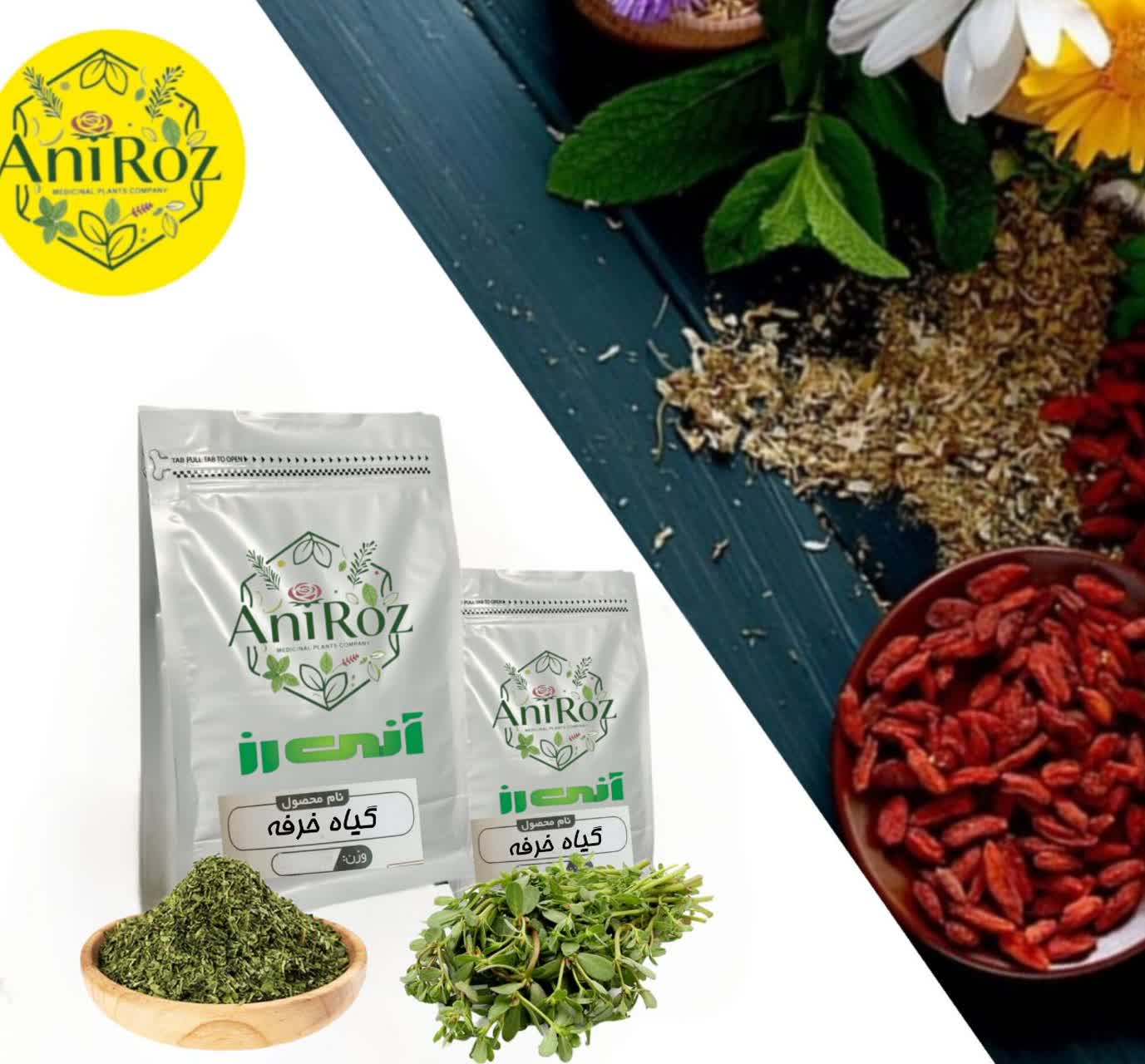 گیاه خرفه سبزی خوراکی اعلا 50 گرمی آنی رز