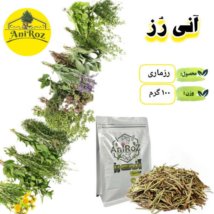 رزماری گیاه همیشه سبز 250 گرمی آنی رز