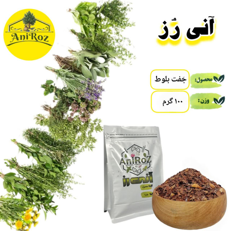 جفت بلوط بسیار قوی 50 گرمی آنی رز