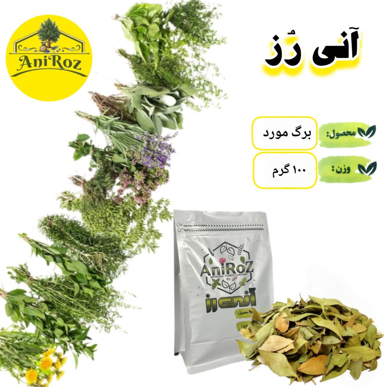 برگ مورد ضدعفونی کننده عالی 250 گرمی آنی رز