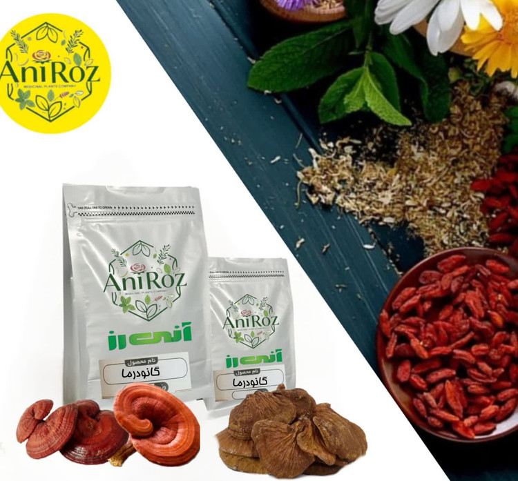 قارچ گیاهی گانودرما اعلا 50 گرمی آنی رز