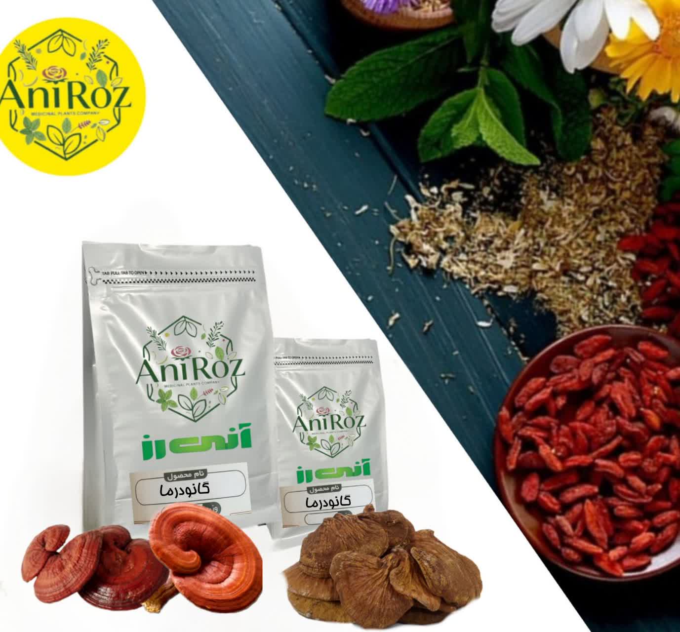 قارچ گیاهی گانودرما اعلا 500 گرمی آنی رز