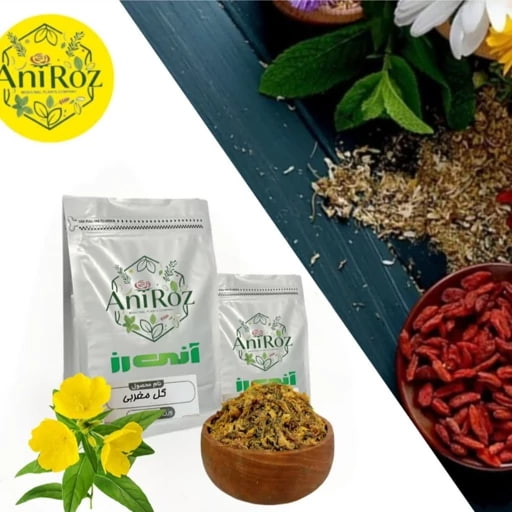 گل مغربی اعلا یک کیلو گرمی آنی رز